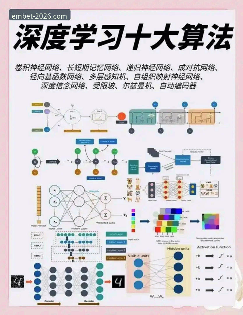深度揭秘：易倍操作指南背后的技术细节与实战对比