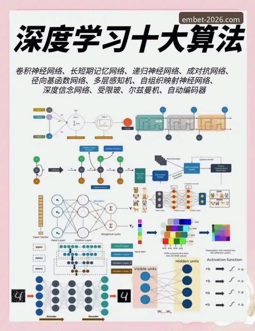 老用户亲测：7个让易倍流畅体验翻倍的实用技巧